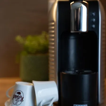 Central Suite Craiova Craiova